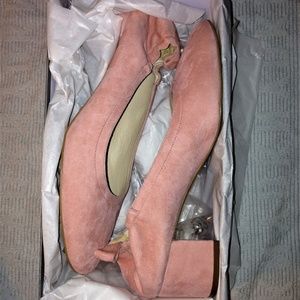 NIB Everlane Day Heels Pink Blush Suede 8
